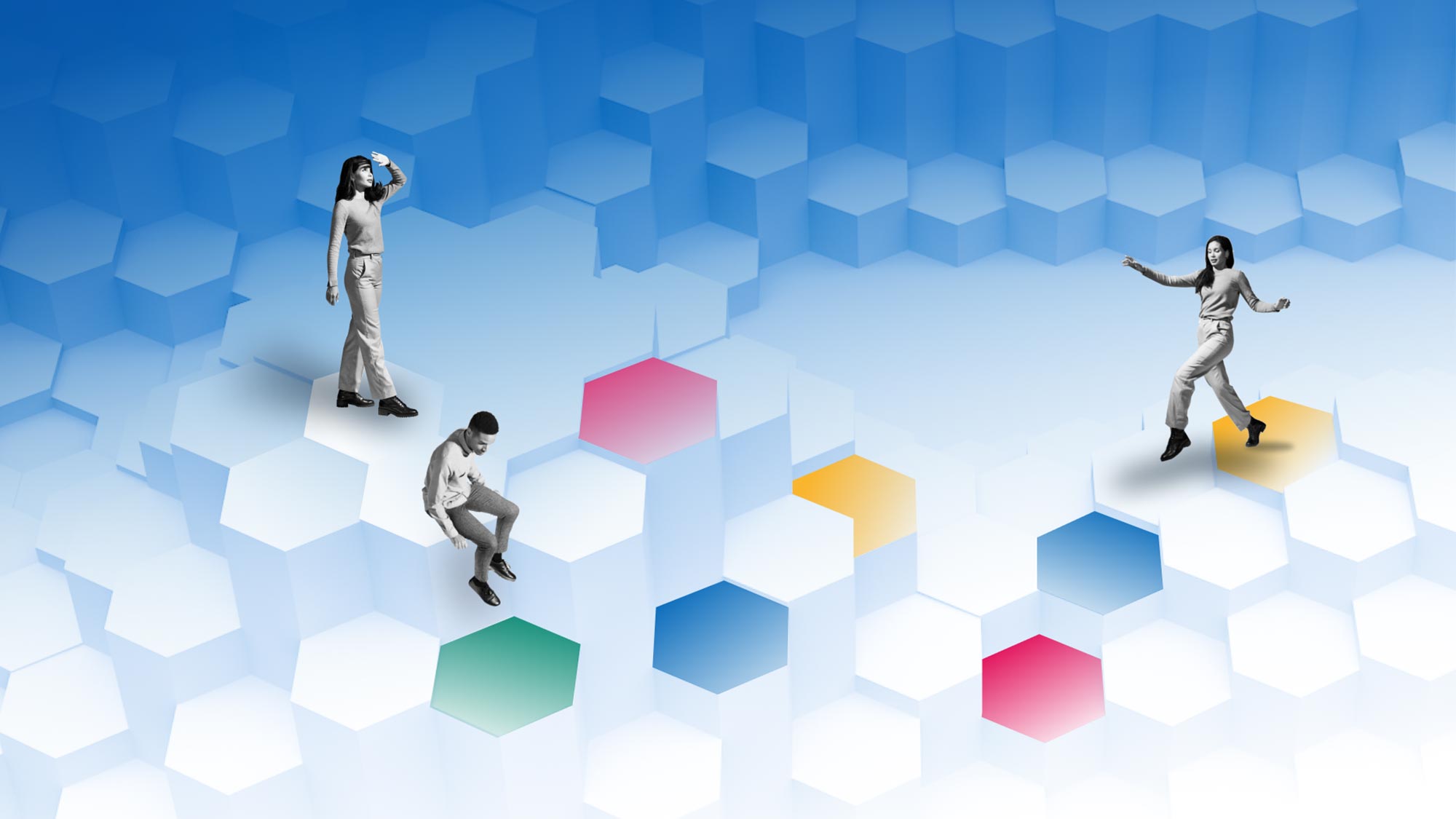 Zig-Zag-Complex-Risk